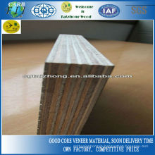 18mm Combi Core Shuttering Plywood For Construction